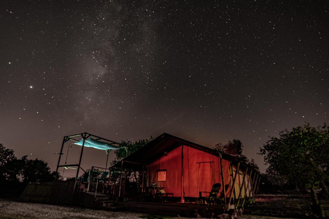 Ses Quinta Luxury Safari Tents Paderne Exteriér fotografie
